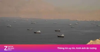IMO giải cứu 11.000 thủy thủ mắc kẹt ở vịnh Ba Tư, Iran và Oman tính thu phí eo Hormuz