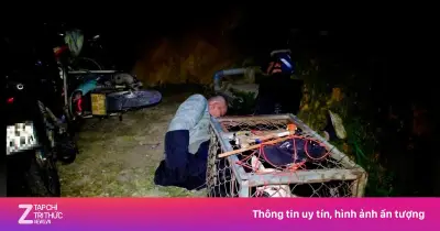 Khởi tố nhóm đối tượng trộm hơn 2 tấn chó ở Đà Lạt