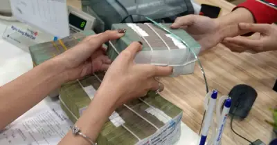Khơi thông dòng vốn tín dụng: Lãi suất tiết kiệm chưa hạ, nhiều chính sách mới
