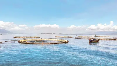 Kinh tế biển Việt Nam chuyển mình mạnh mẽ sau 8 năm thực hiện Nghị quyết 36