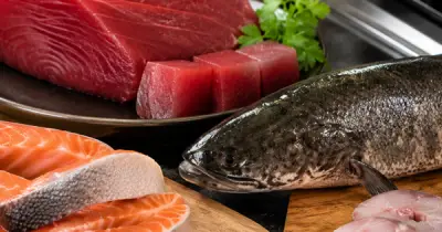 Lợi ích sức khỏe tuyệt vời của cá đối với người lớn tuổi