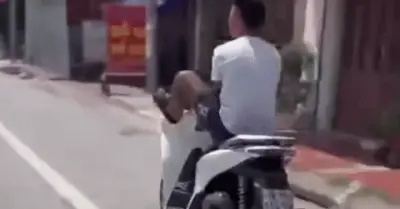 Lái xe SH bằng chân: Thanh niên bị tịch thu xe