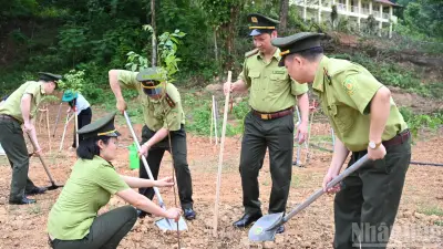 Lạng Sơn hưởng ứng Ngày Thế giới chống sa mạc hóa, trồng 1,5 triệu cây xanh