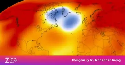 Đốm lạnh Bắc Đại Tây Dương: Dấu hiệu thảm họa khí hậu toàn cầu