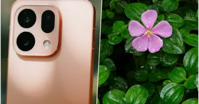 Đắm mình giữa không gian xanh Vườn Bách thảo Singapore cùng OPPO Find X9s