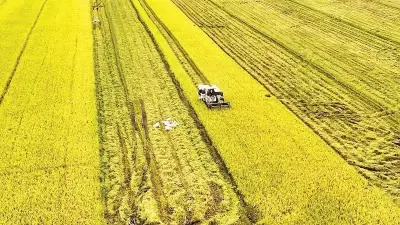Mức phạt tới 50 triệu đồng cho vi phạm trồng trọt từ 5/8/2026