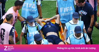 MU sắp nhận đền bù hàng triệu bảng từ FIFA vì chấn thương của Ugarte