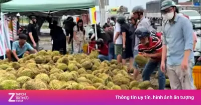 Mua sầu riêng non 'giải cứu' ven đường: Người tiêu dùng lãnh đủ thiệt hại