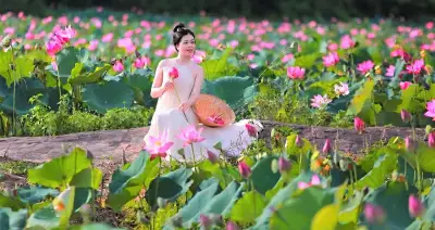 Ấn tượng đồng hoa sen lớn nhất Đà Nẵng, du khách đổ xô đến check-in
