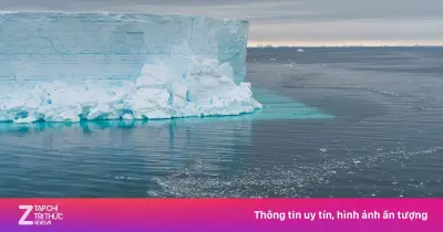 Nam Cực mất tảng băng lớn bằng nước Pháp, gióng hồi chuông báo động