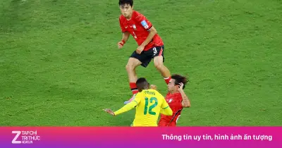 Nam Phi 1-0 Hàn Quốc: Maseko tỏa sáng, Hàn Quốc bị loại