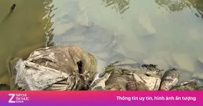 Nước sông rút, phát hiện bao tải đạn cối và lựu đạn dưới chân cầu Chợ Cầu