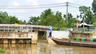 Đồng bằng sông Cửu Long: Hoàn thiện quy hoạch chống sụt lún, sạt lở, ngập úng