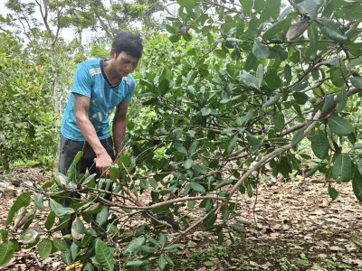 Đồng bào dân tộc thiểu số Đồng Nai chủ động tìm cơ hội thoát nghèo