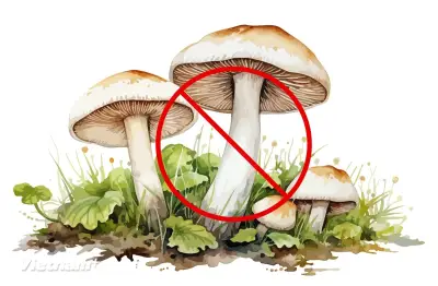 Ngộ độc sau khi ăn nấm rừng, một người tử vong