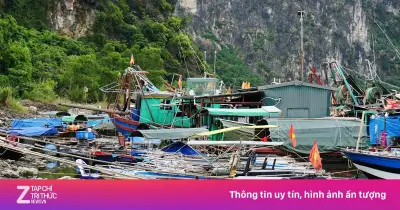 Ngư dân Quảng Ninh khốn khổ tìm nơi neo đậu tàu cá vì bến cảng bị bồi lắng
