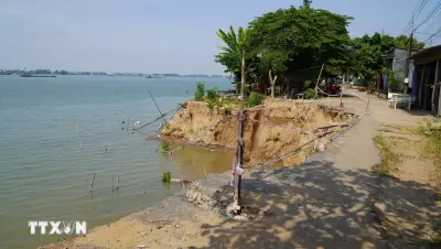 Ứng phó sạt lở: Đồng Tháp triển khai giải pháp mềm thân thiện