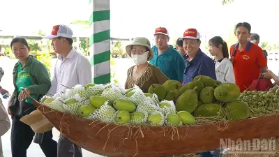 Đồng Tháp khắc phục sự cố trái cây bị lấy tại lễ hội, tăng cường bảo vệ