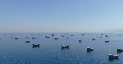 Ông Trump tiết lộ Mỹ bí mật hộ tống 200 tàu qua eo biển Hormuz
