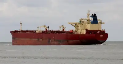 Nga và Cuba thúc đẩy hợp tác nhiều lĩnh vực tại Diễn đàn St. Petersburg