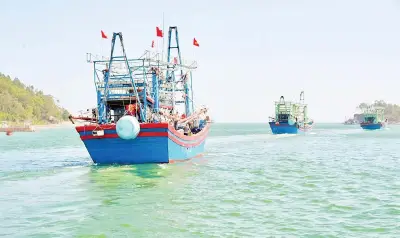 Nghệ An: Chống khai thác IUU hiệu quả, giảm vi phạm vùng biển nước ngoài