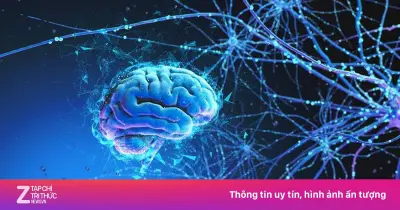 Người chữa lành lạc lối: Kiến thức tâm lý có thực sự cứu được ta?