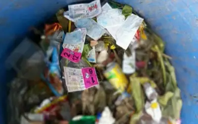 Người phụ nữ Thái Lan mất vé số trúng 4,8 tỷ đồng vì hàng xóm tham lam