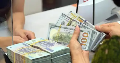 Ngân hàng Nhà nước khuyến cáo phòng ngừa ngoại tệ giả trong giao dịch