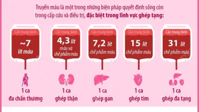 Ngày Quốc tế Người hiến máu: Giọt máu tình người, hiến máu đạo trào sự sống