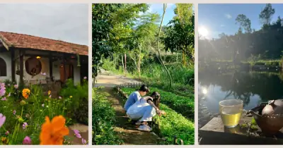 Nhà gỗ chữa lành khiến tôi mất tiền tỷ và 2 năm tơi tả, đừng bỏ phố về quê với cái đầu rỗng