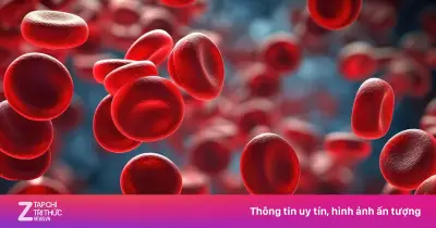 Nhóm máu B có nguy cơ mắc tiểu đường type 2 cao hơn 28%