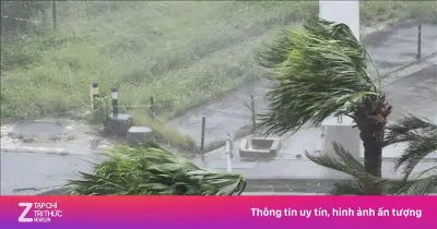 Nhật Bản hủy hơn 100 chuyến bay do bão nhiệt đới Mekkhala và Higos