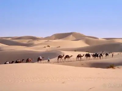 Niger: Gần 50 người chết giữa sa mạc Sahara khi di cư
