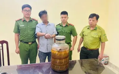 Ninh Bình: Phát hiện vận chuyển rắn hổ mang chúa ngâm rượu