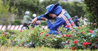 Nắng nóng cực đoan: Hiểm họa với người bệnh tim mạch