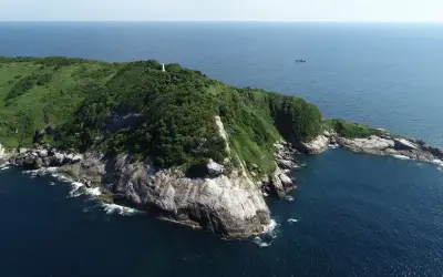 Đảo Rắn Ilha da Queimada Grande: Nơi có 4.000 con rắn cực độc sinh sống