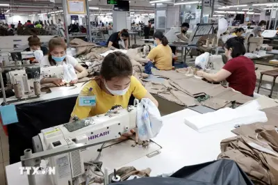 Phó Chủ tịch nước dự Lễ phát động phong trào thi đua lao động giỏi