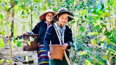 Phụ nữ Việt Nam chủ động tham gia chuyển đổi số và kinh tế xanh