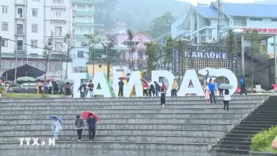 Phú Thọ khai thác lợi thế khí hậu Tam Đảo hướng tới điểm đến du lịch 4 mùa