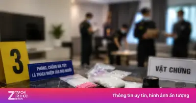Phiên dịch viên thuê căn hộ hạng sang tổ chức sử dụng ma túy