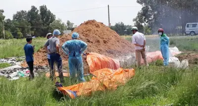 Phát hiện ổ dịch tả lợn châu Phi, tiêu hủy toàn bộ hơn 1.900 con