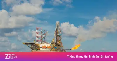PVN nắm giữ 376.352 tỷ đồng tiền mặt, thu lãi 14.367 tỷ đồng năm 2025