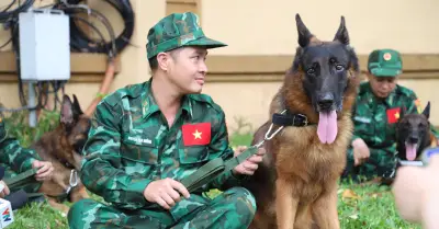 Quân đội Việt Nam cử quân khuyển xuất quân cứu hộ động đất Venezuela
