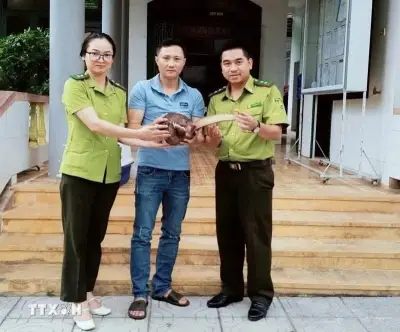 Quảng Trị giải cứu 5 cá thể động vật hoang dã nguy cấp