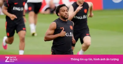 Sao Hà Lan Quinten Timber chấn động não, lỡ trận gặp Thụy Điển