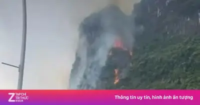 Sét đánh gây cháy gần 3.500 m² rừng phòng hộ tại núi Cao San, Ninh Bình
