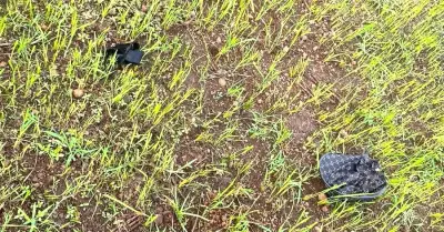 Sét đánh tử vong em học sinh lớp 8 khi đi chăn bò thuê