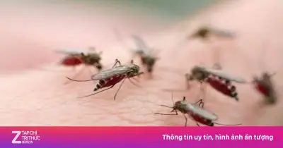 Sốt xuất huyết vào mùa cao điểm, cả nước ghi nhận hơn 50.000 ca, 5 người tử vong