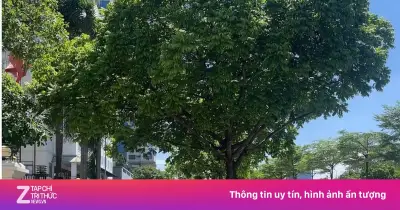 Từ 1/7, Hà Nội tăng phạt vi phạm giao thông đường bộ lên gấp đôi