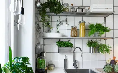 Đặt 4 loại cây phong thủy này trong bếp gia chủ tự nhiên đón lộc đời đời